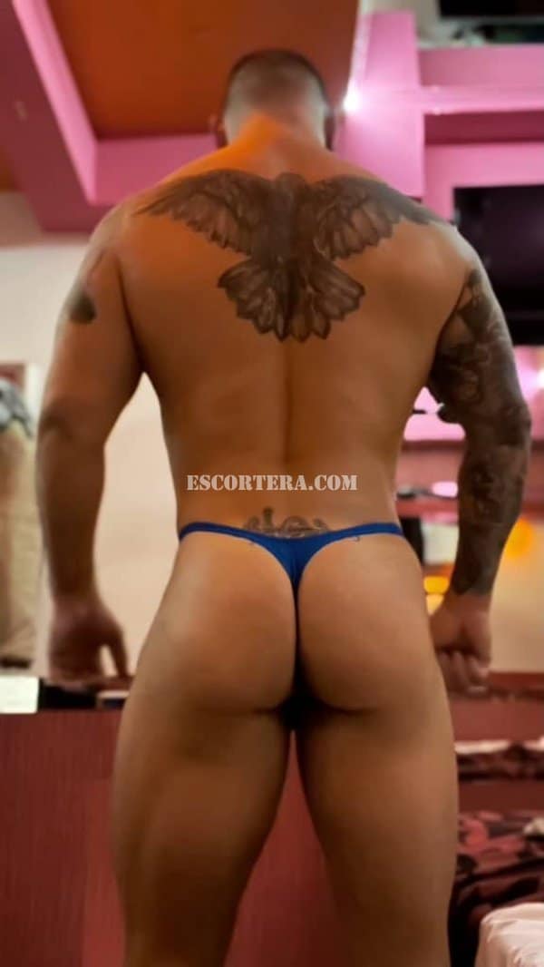 acompanhantes - ROCKE - Portugal - Lisboa - 911567433 - 3